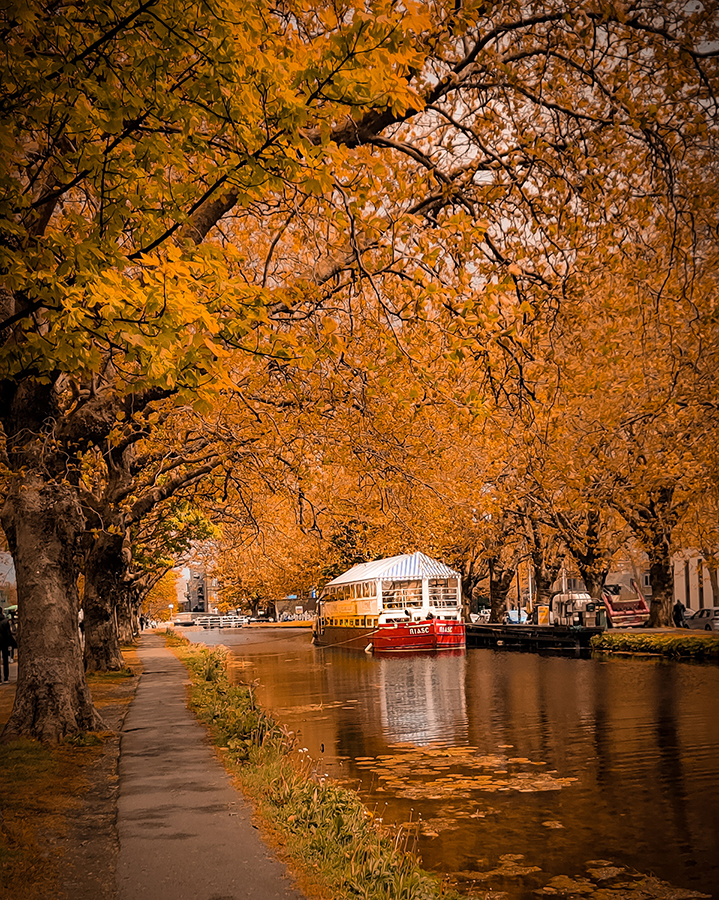 Gargee Hiray - Grand Canal at Autumn - We Love Ireland